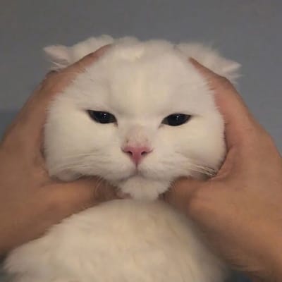 Tony Tan Caktiong Avatar